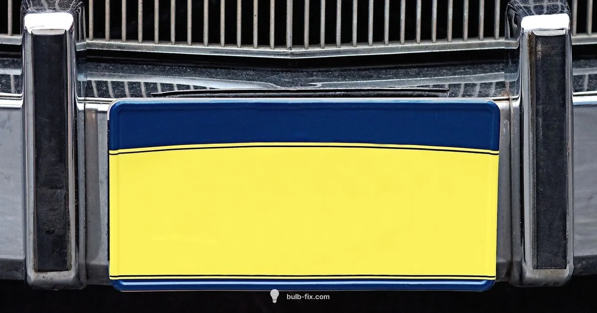 Number Plate Bulb - Bulb Fix