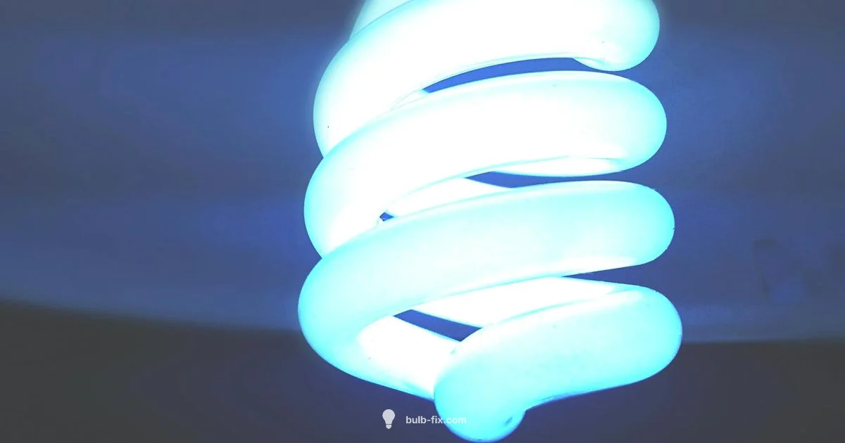 Bulb Size Guide - Bulb Fix