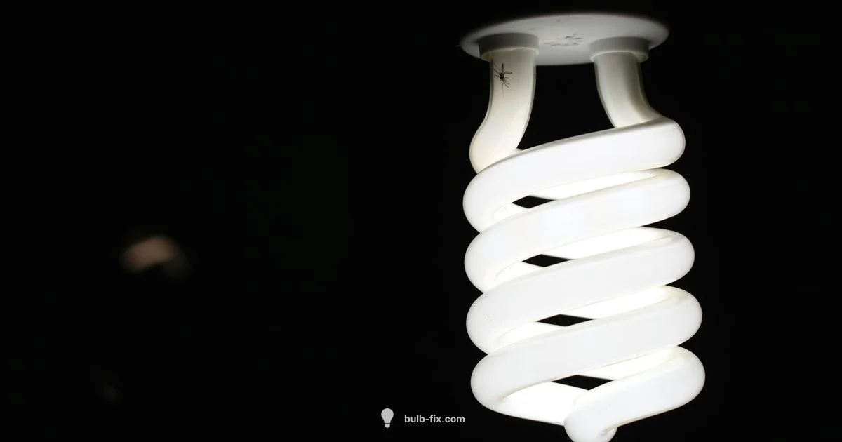 Fluorescent Lighting Basics Fluorescent Lighting Basics - Bulb Fix