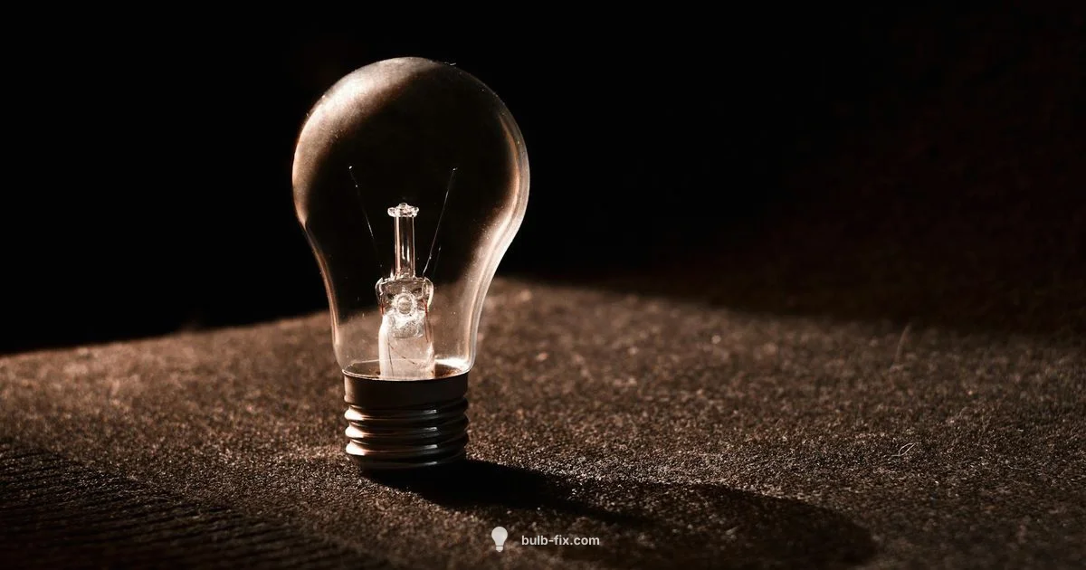 Understanding 100w - Bulb Fix