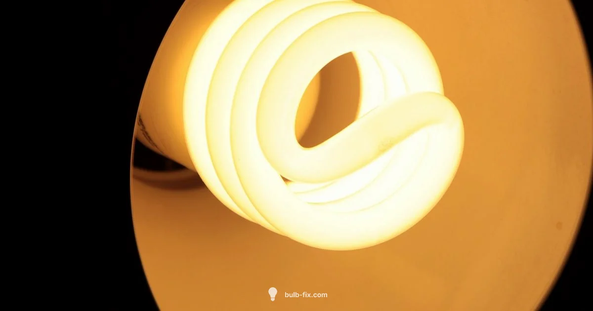 CFL Guide for Homes - Bulb Fix