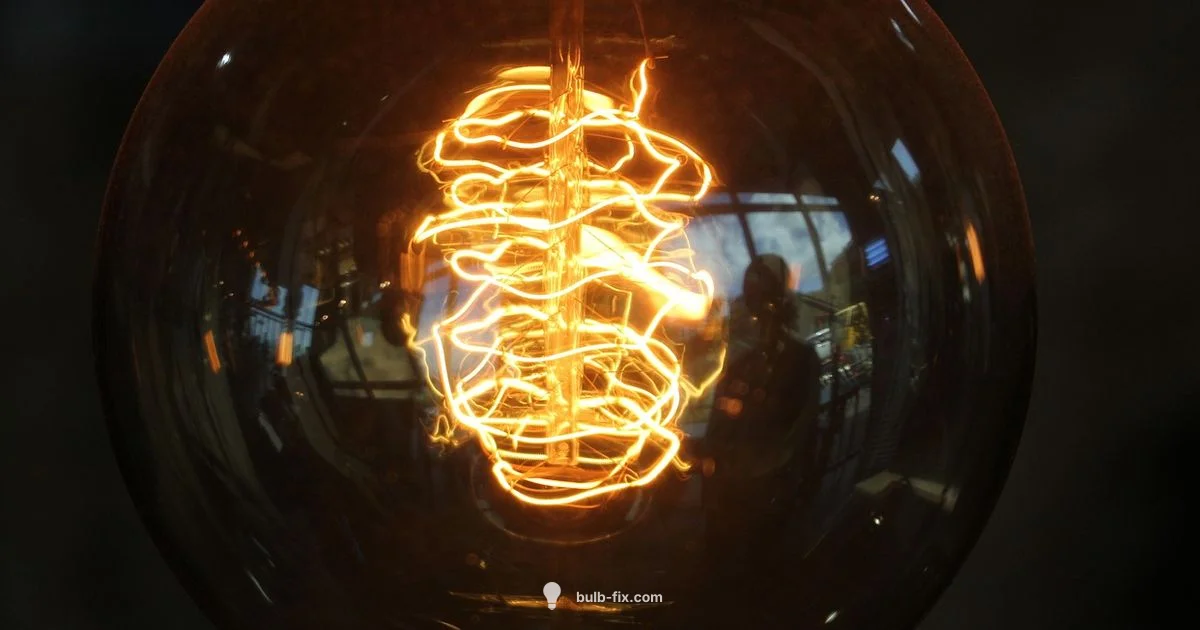 13W Bulb Guide - Bulb Fix