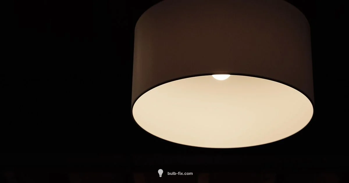 Bulb vs Fixture - Bulb Fix