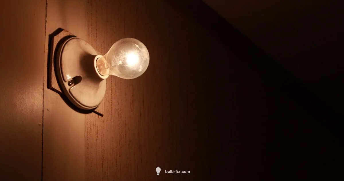 Halogen Bulb Replacement - Bulb Fix