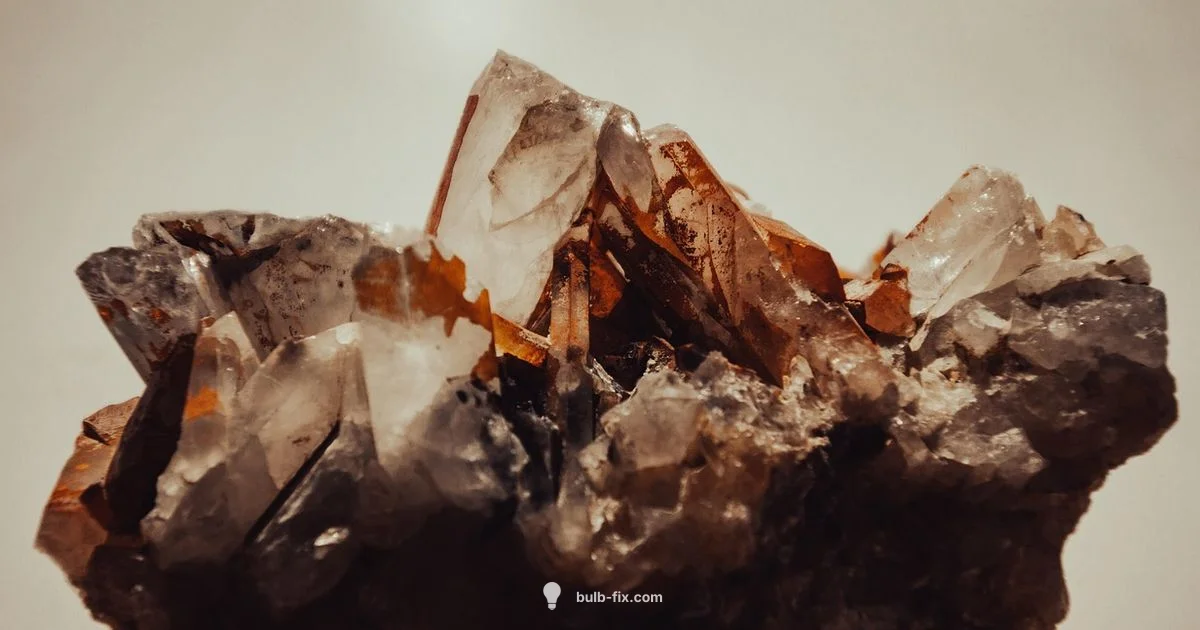 Quartz Bulb Essentials - Bulb Fix