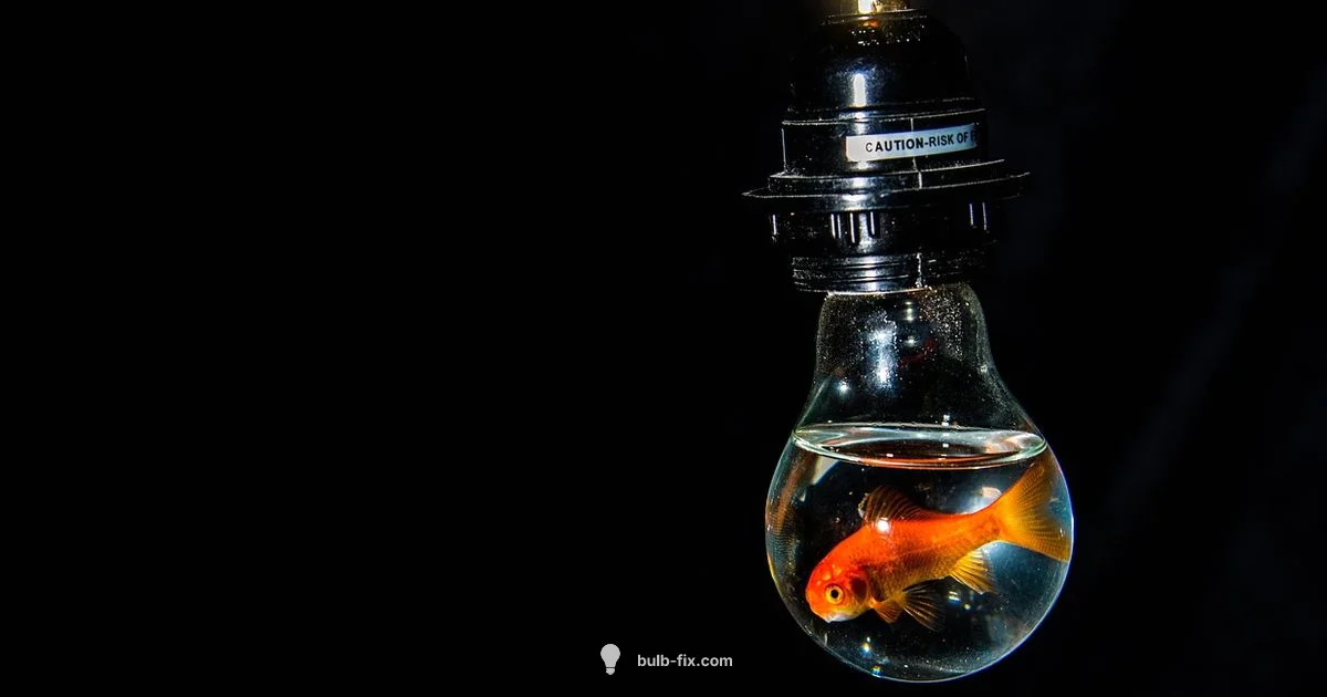 Identify a blown bulb - Bulb Fix