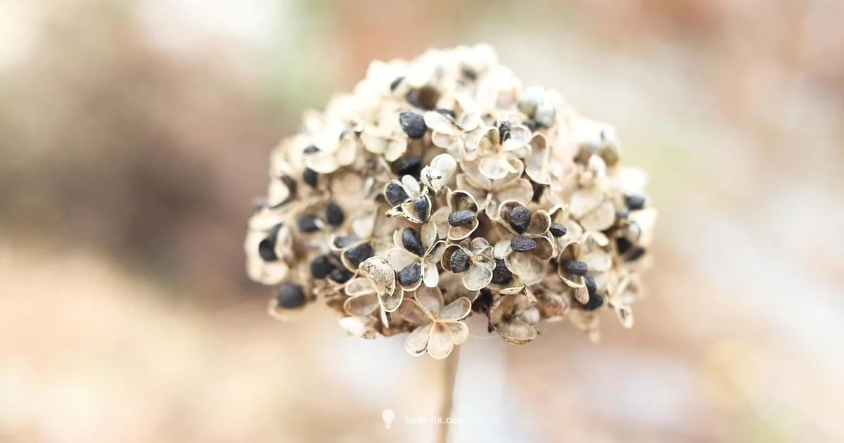 Green Onion Bulb Guide - Bulb Fix