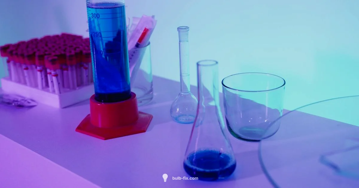 UV B Lamp Guide - Bulb Fix