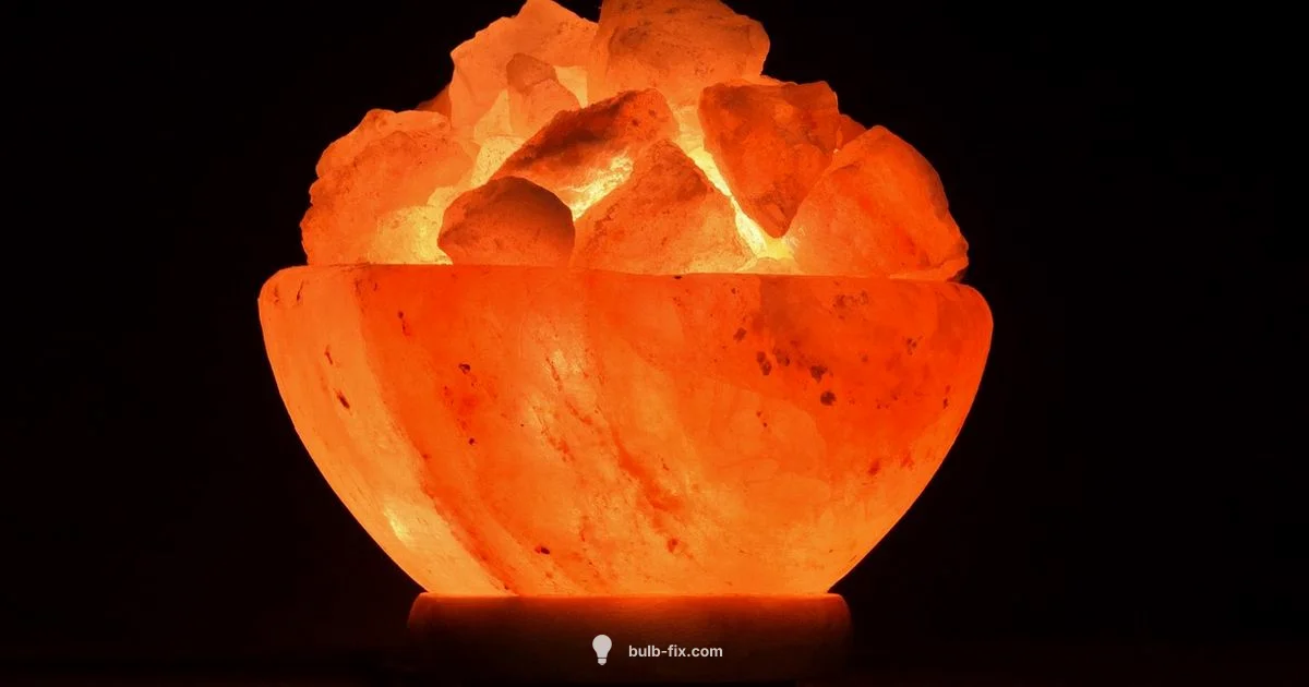 Rock Salt Bulb Guide - Bulb Fix