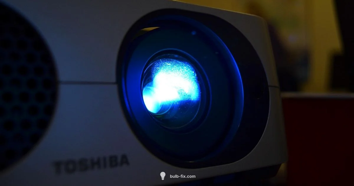 Lamp Replacement Guide - Bulb Fix