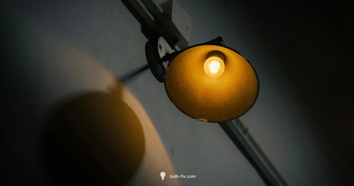 MR16 Bulbs Explained - Bulb Fix