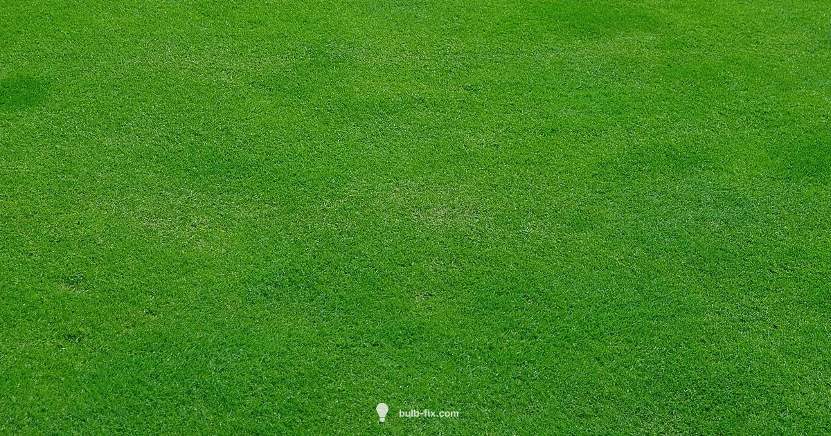 Bulbs in Lawn Bulbs in Lawn - Bulb Fix