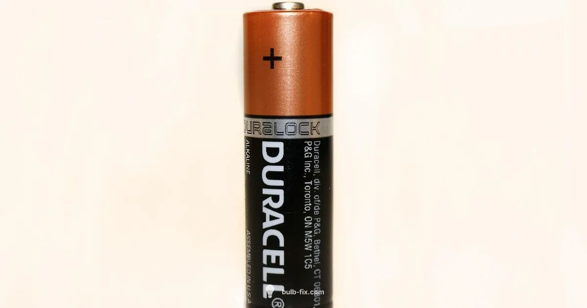 Bulb & Battery Plus - Bulb Fix