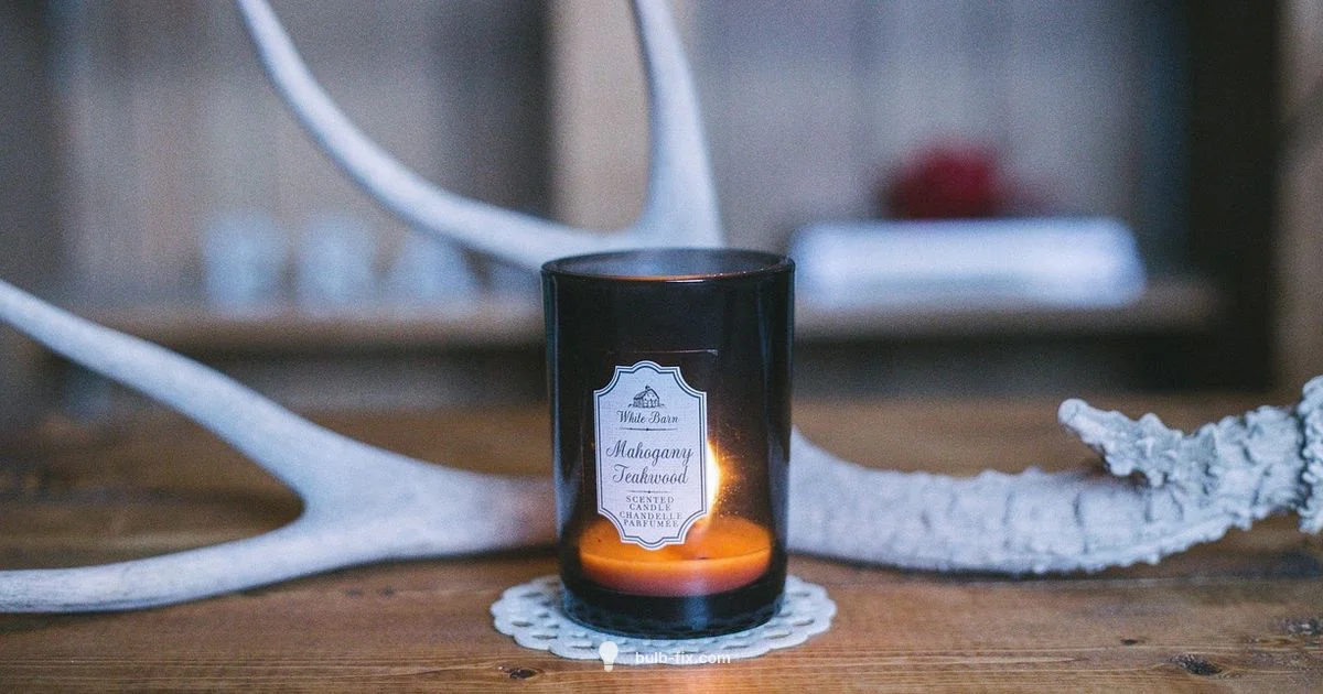 How Bulbs Work - Bulb Fix