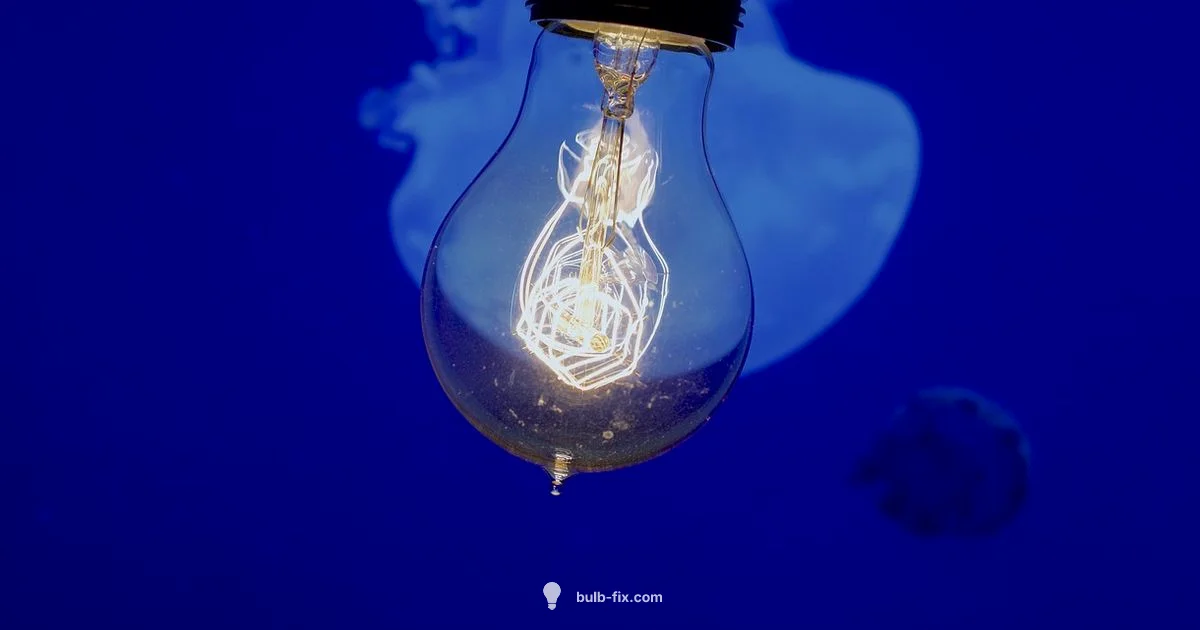 Warm Glow Options - Bulb Fix