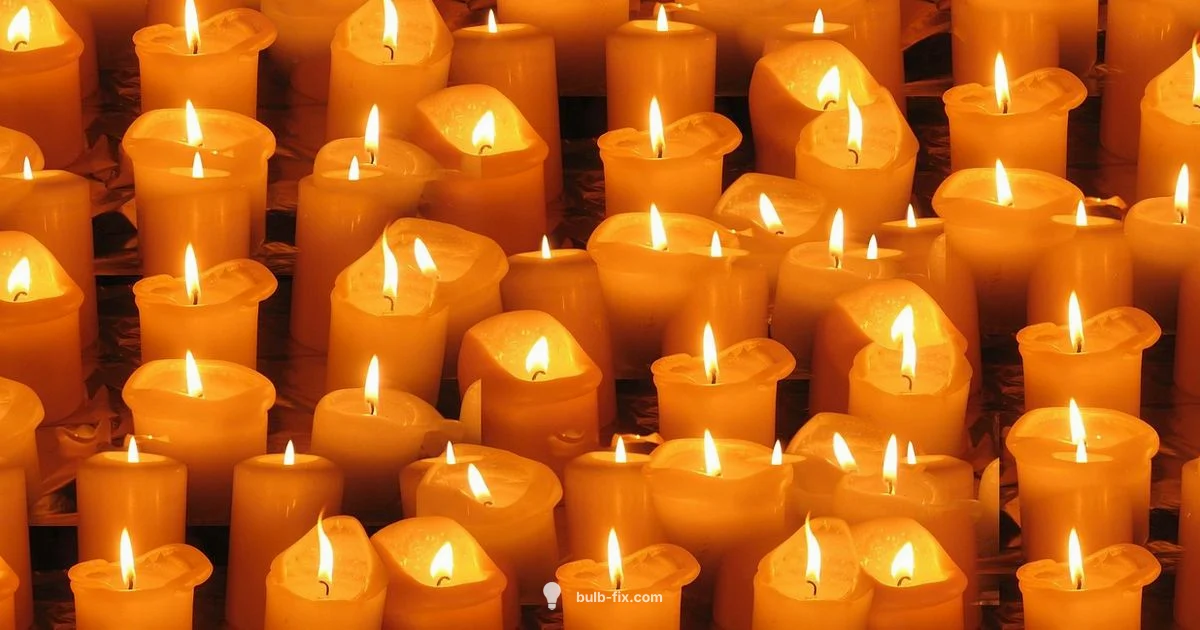 Painting Light Bulb - Bulb Fix