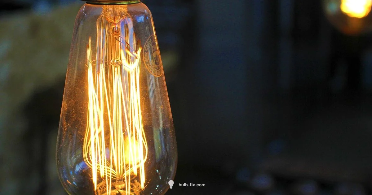 Bulb Care Guide - Bulb Fix