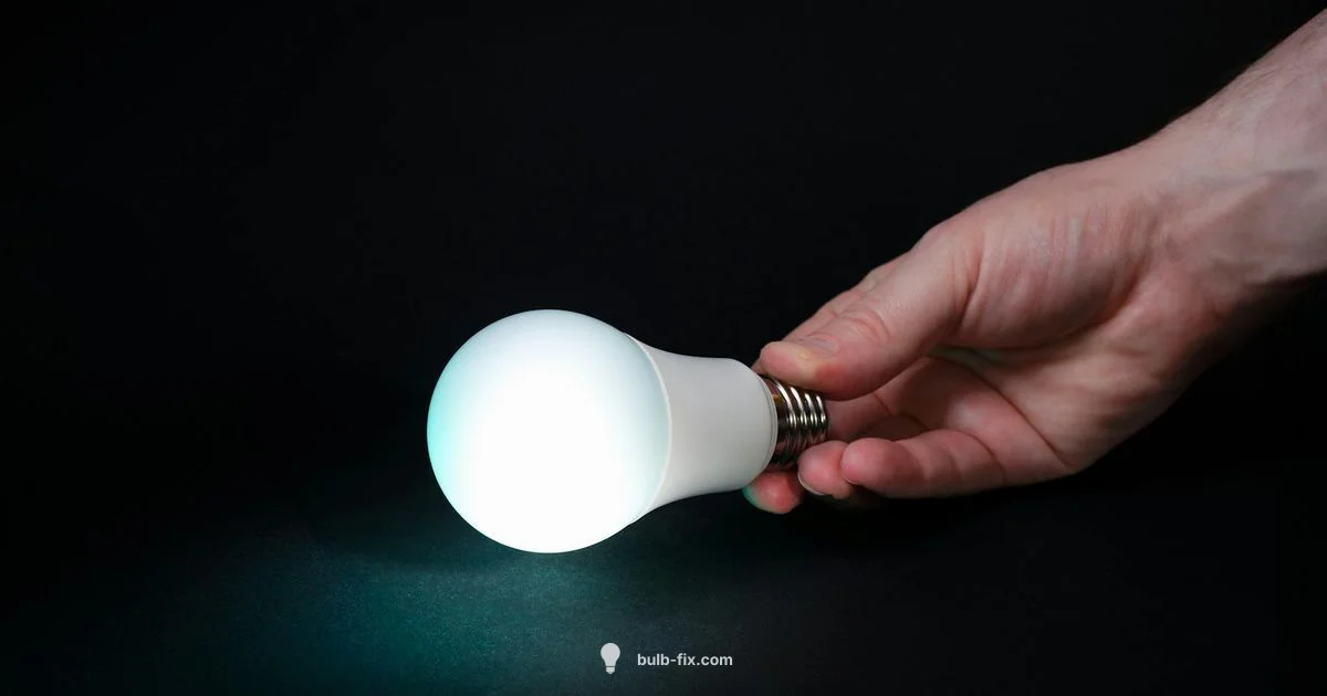 Battery Light Bulb Guide - Bulb Fix