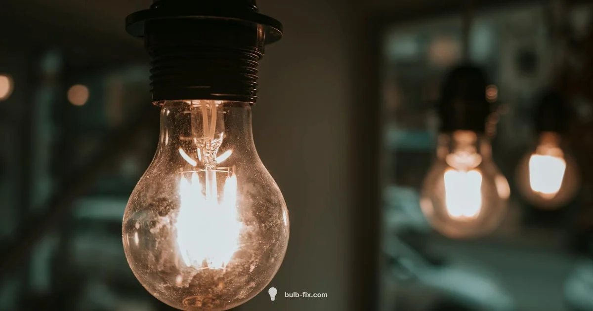 Type B & E12 Basics - Bulb Fix