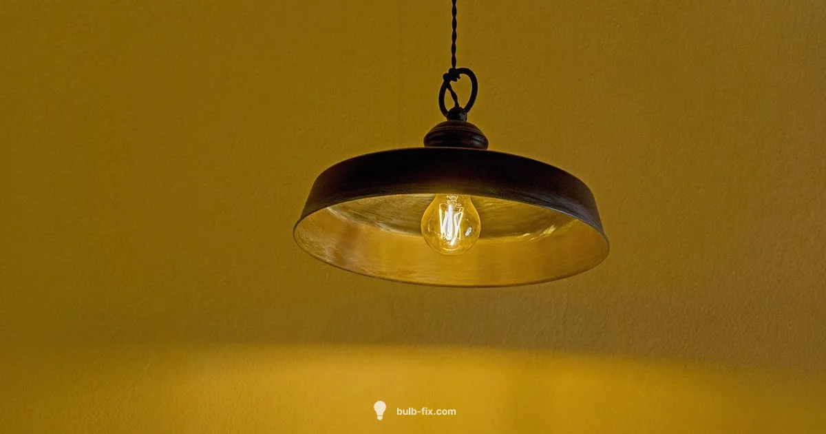 Bulb Selection Bulb Selection - Bulb Fix