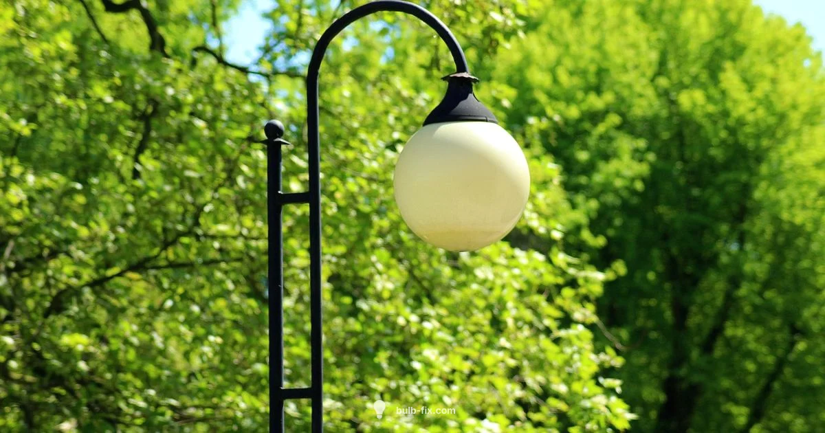 Find the Right Bulb - Bulb Fix