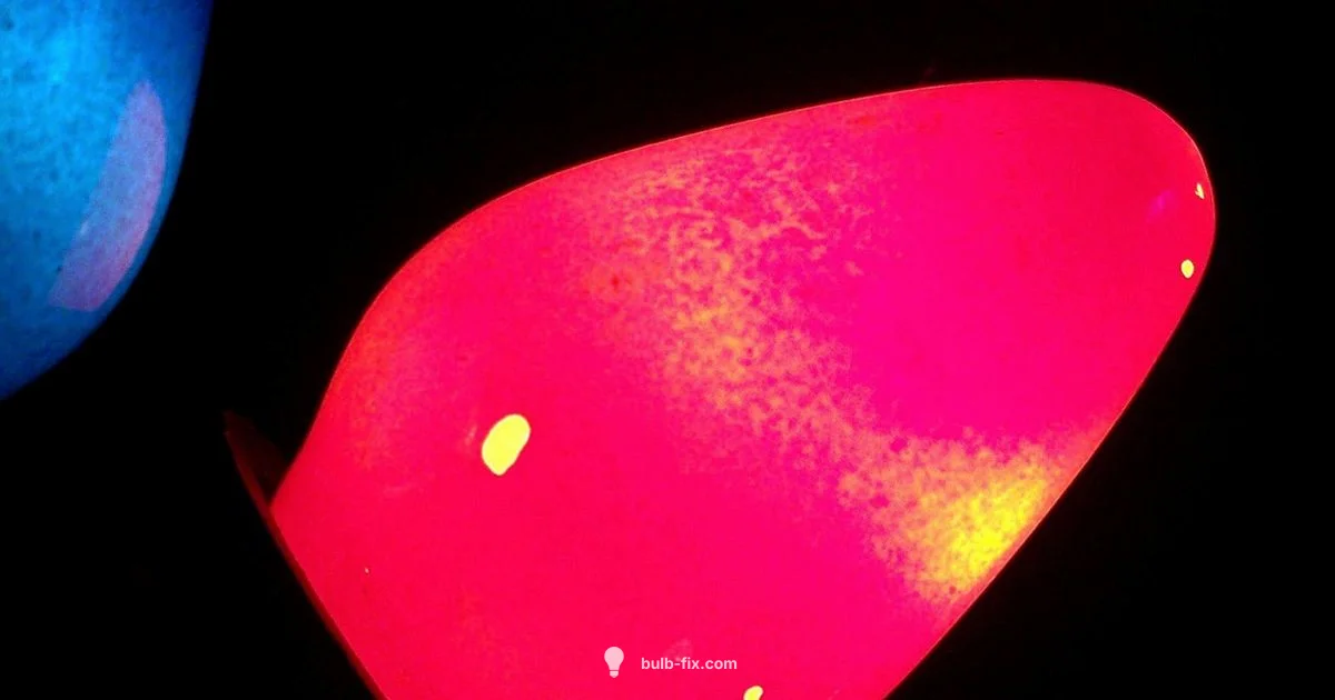 Large Bulb Lights - Bulb Fix