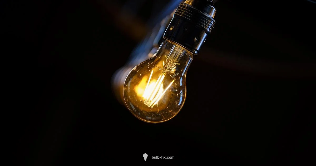 Bulb Companies Guide - Bulb Fix