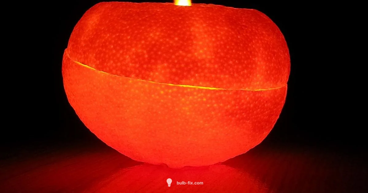 Old Fashioned Bulb - Bulb Fix