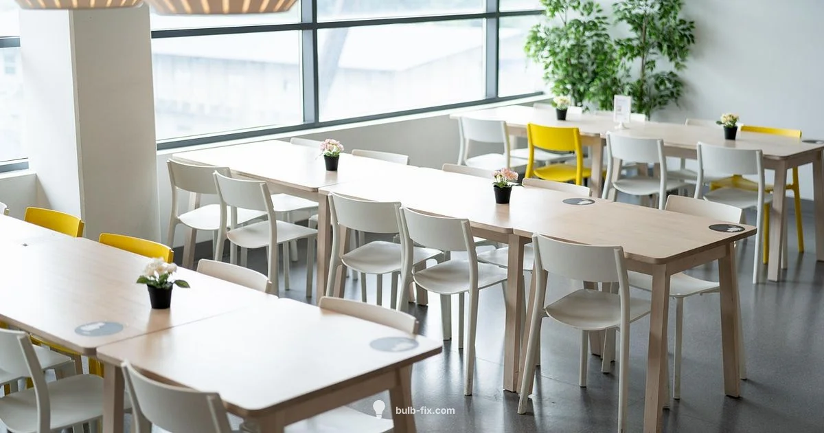 Deal with Bulbs Safely Deal with Bulbs Safely - Bulb Fix