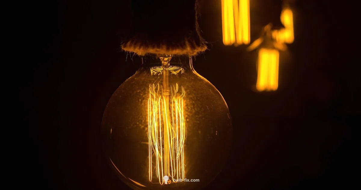 Globe Bulbs Guide - Bulb Fix