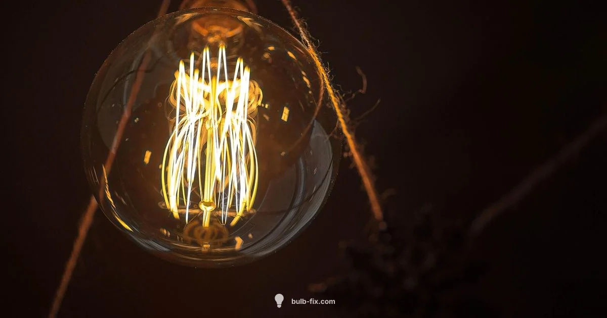 Bulb Heat Guide Bulb Heat Guide - Bulb Fix
