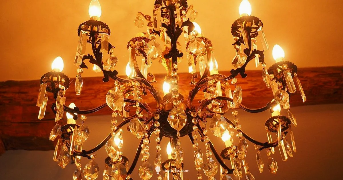 E12 Bulb Guide E12 Bulb Guide - Bulb Fix