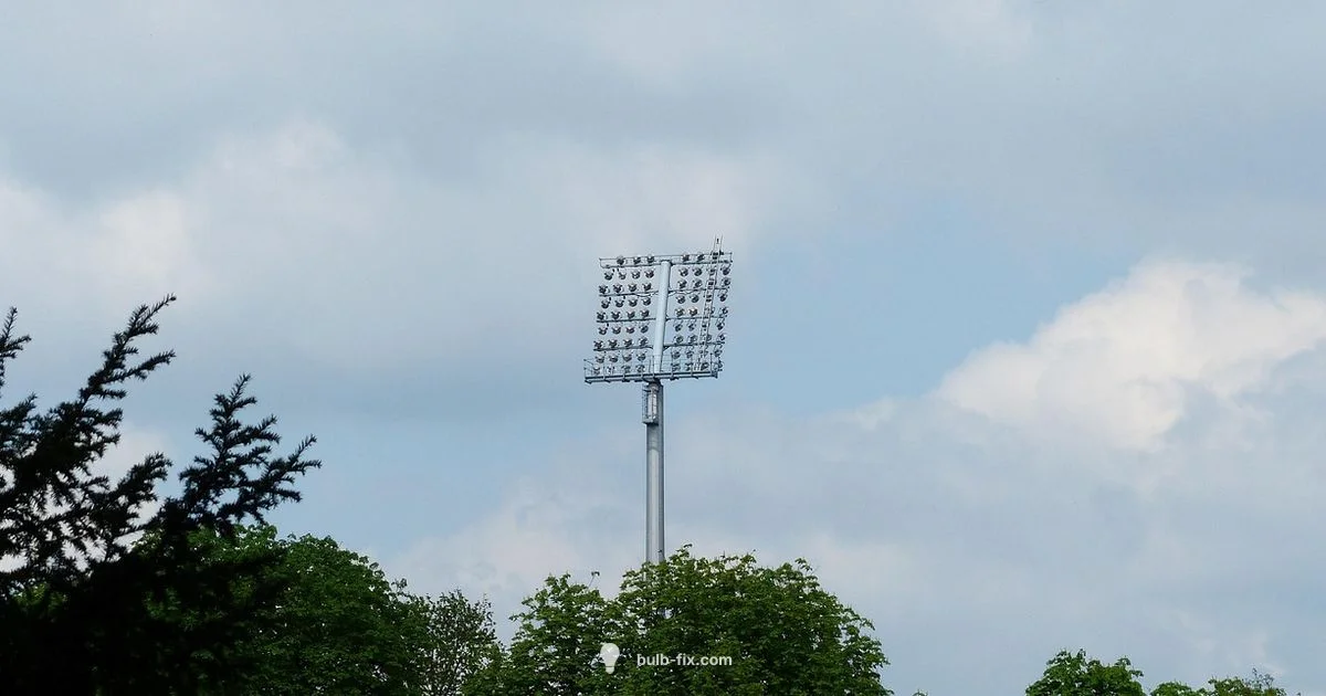 HID Bulbs Guide HID Bulbs Guide - Bulb Fix