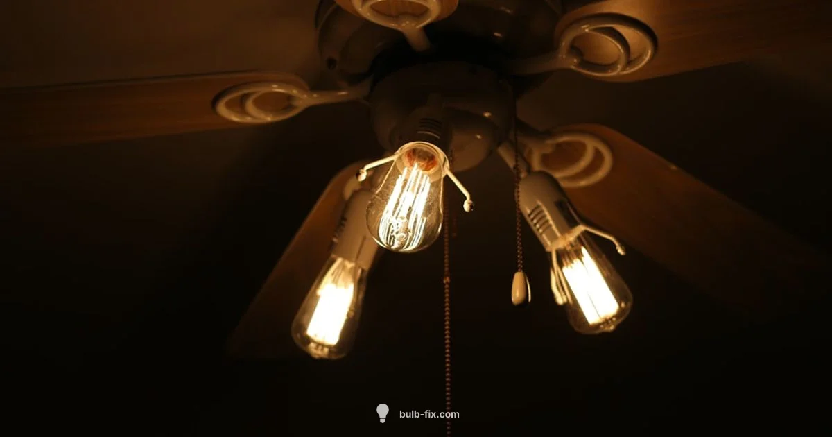 E12 Ceiling Guide - Bulb Fix