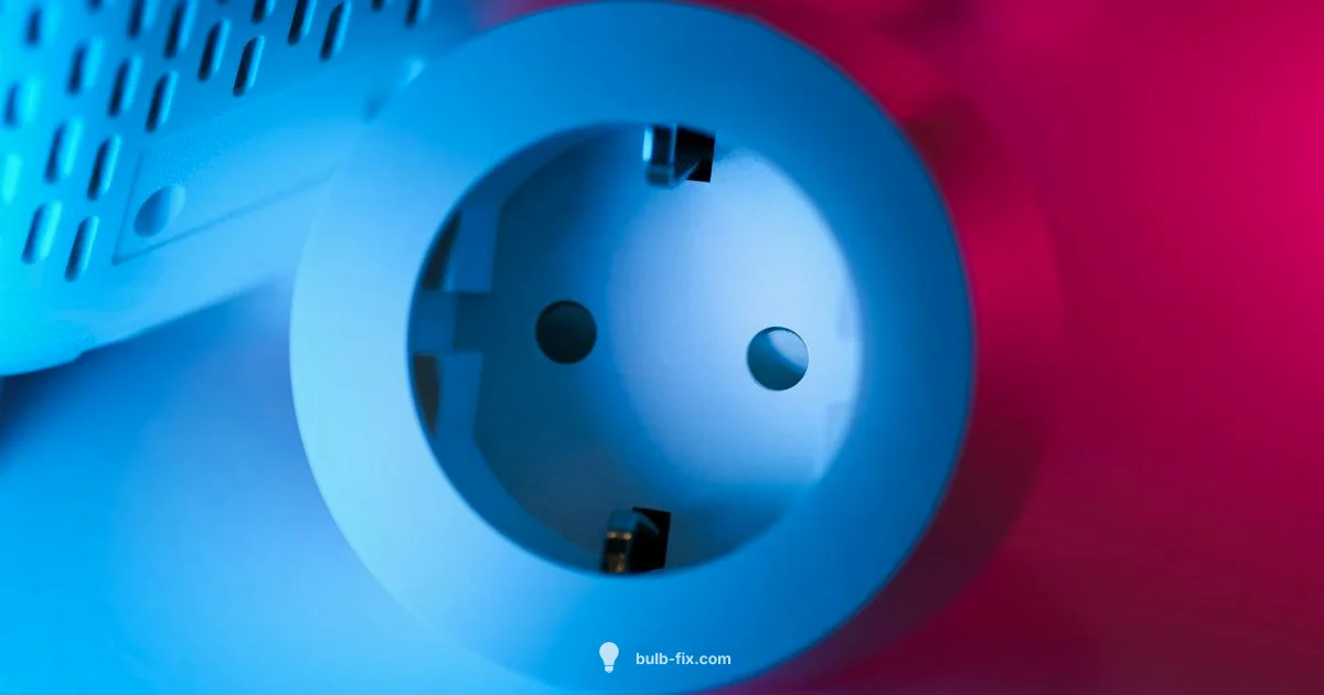 Plug Socket Replacement Plug Socket Replacement - Bulb Fix