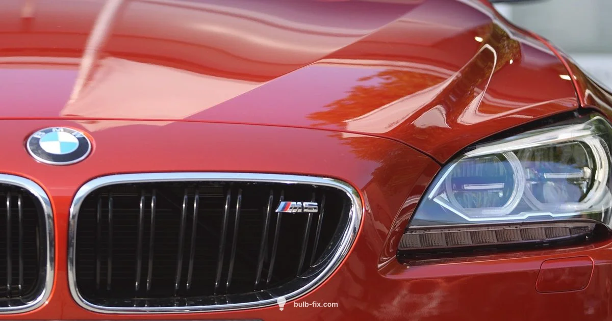 Bulb Lookup Guide - Bulb Fix