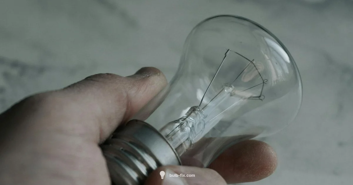 Bulb Bases - Bulb Fix