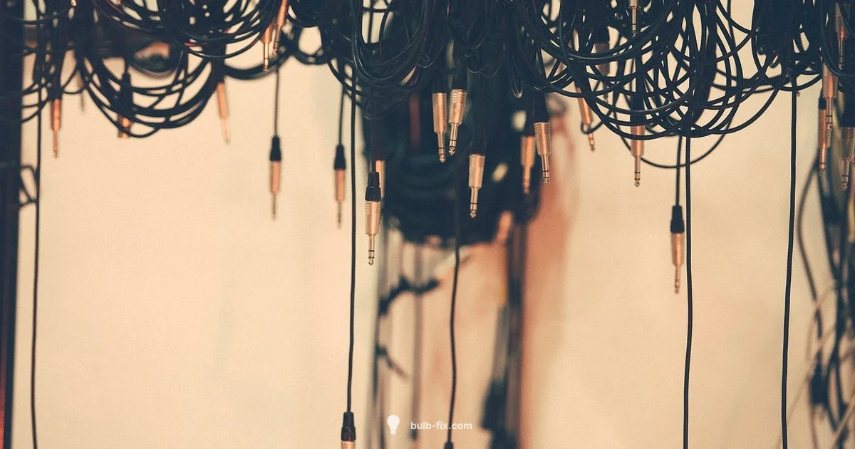 Cord Bulb Guide Cord Bulb Guide - Bulb Fix