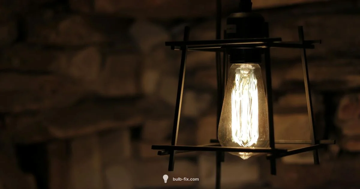 Bulb Socket Basics - Bulb Fix