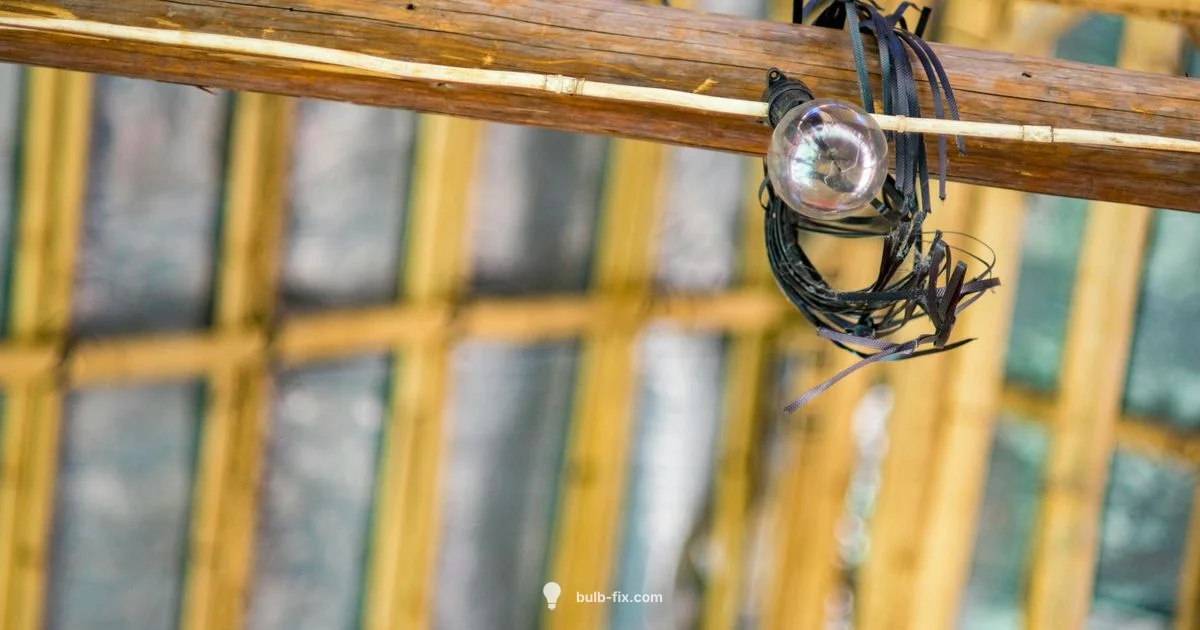 Can Bulb Light - Bulb Fix