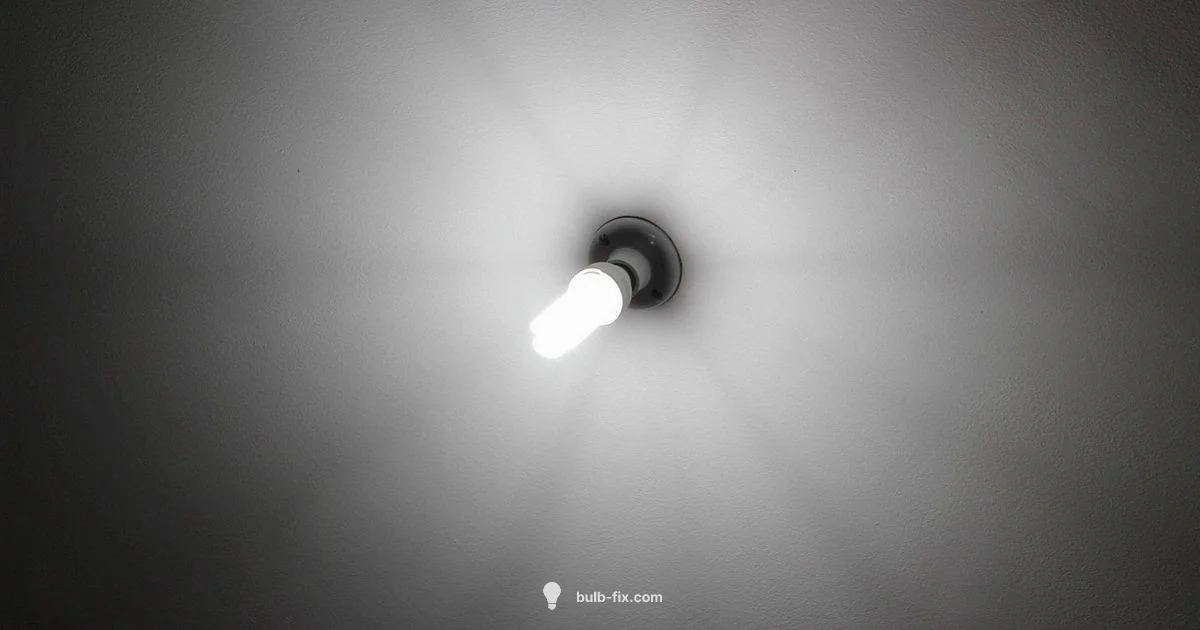 CFL Overview - Bulb Fix