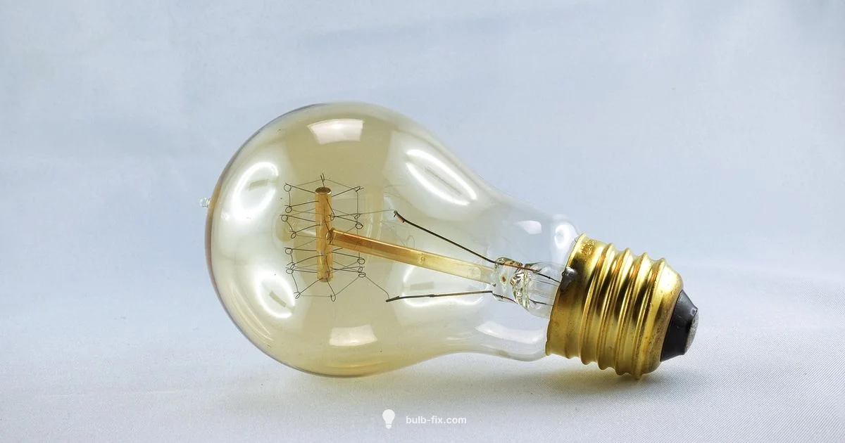 Bulb Basics - Bulb Fix