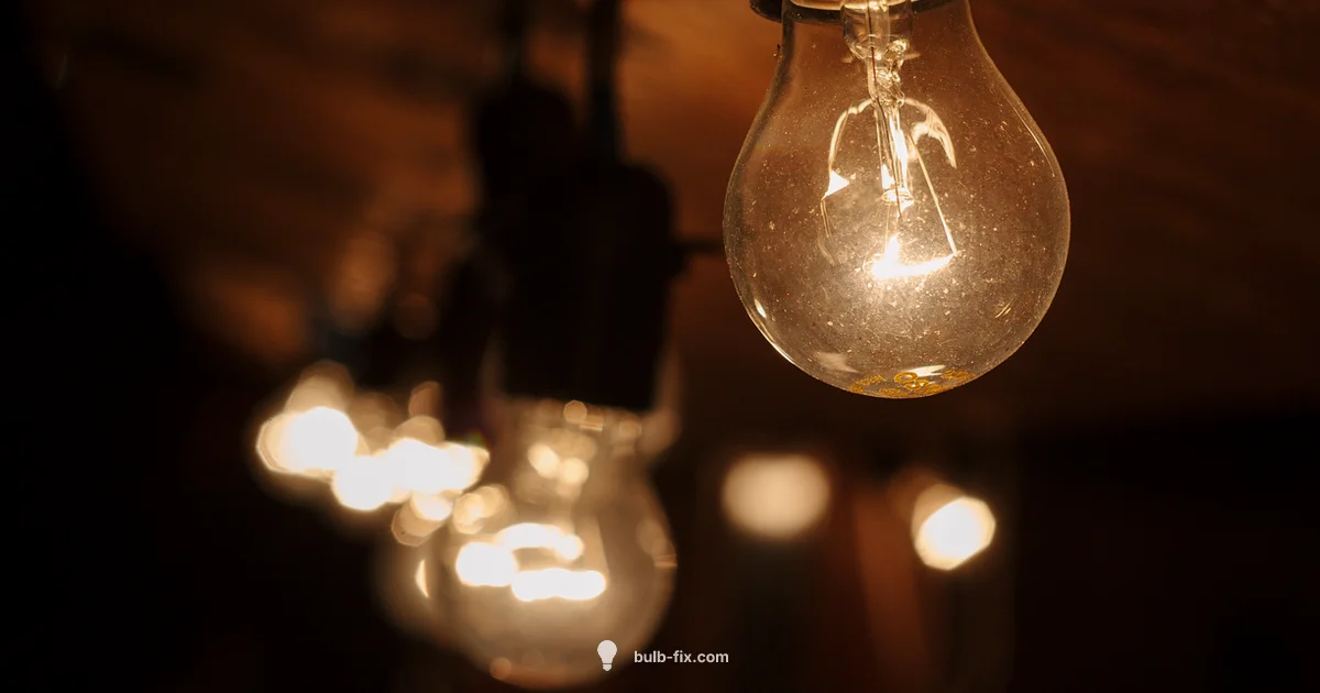 Tungsten Filament Basics Tungsten Filament Basics - Bulb Fix