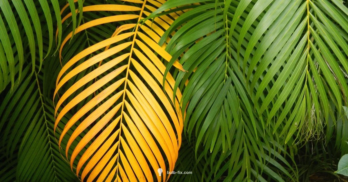 Bulb Multiplication Guide - Bulb Fix