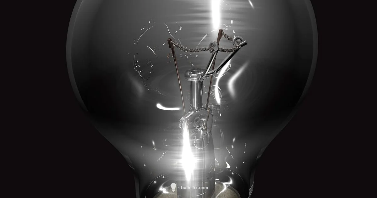 Brightness Basics Brightness Basics - Bulb Fix