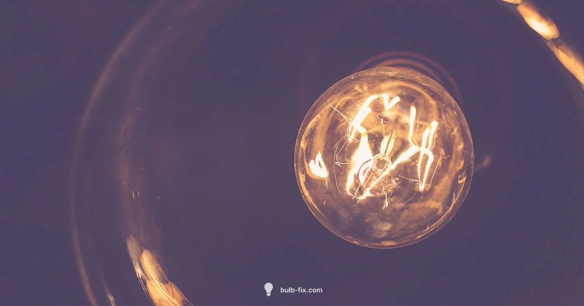 Socket Size Guide Socket Size Guide - Bulb Fix