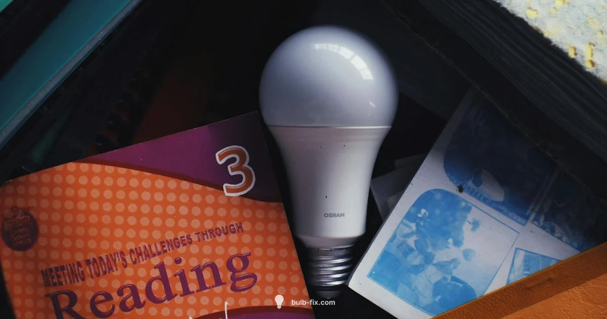 Color Changing Bulb Guide - Bulb Fix