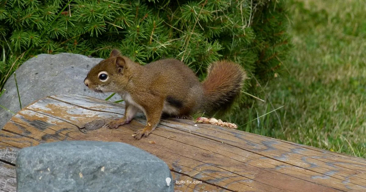 Bulb Troubles Bulb Troubles - Bulb Fix