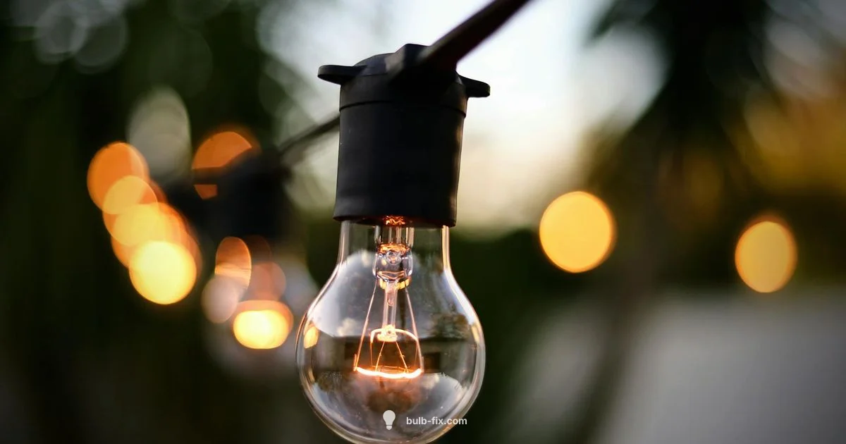 Outdoor Spotlight Bulb Outdoor Spotlight Bulb - Bulb Fix