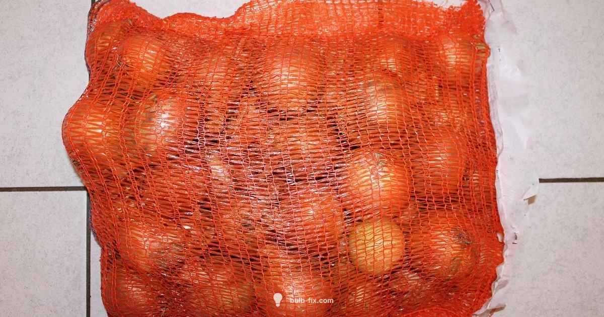 Bulb Onion Basics - Bulb Fix